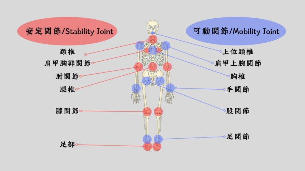 Joint by Joint 理論